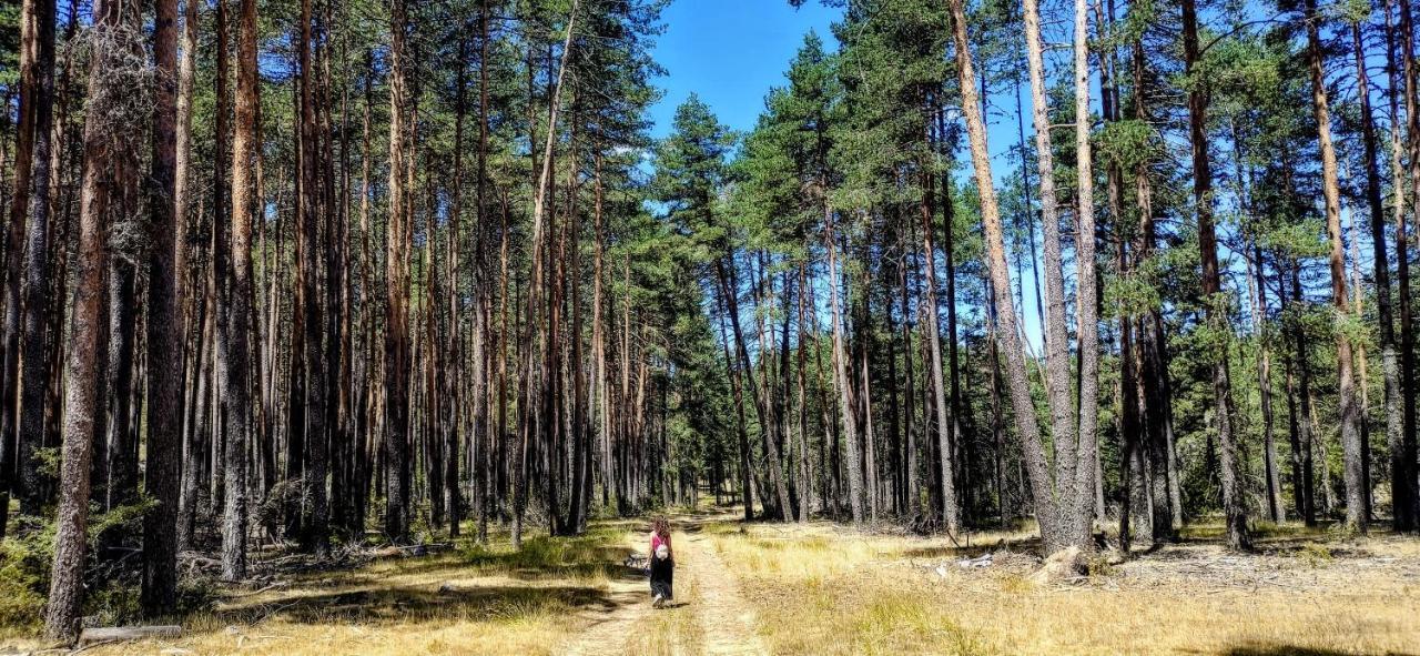 Alojamiento Rural Los Hacheros Tragacete Kültér fotó