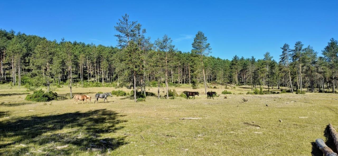 Alojamiento Rural Los Hacheros Tragacete Kültér fotó