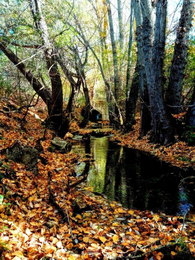 Alojamiento Rural Los Hacheros Tragacete Kültér fotó