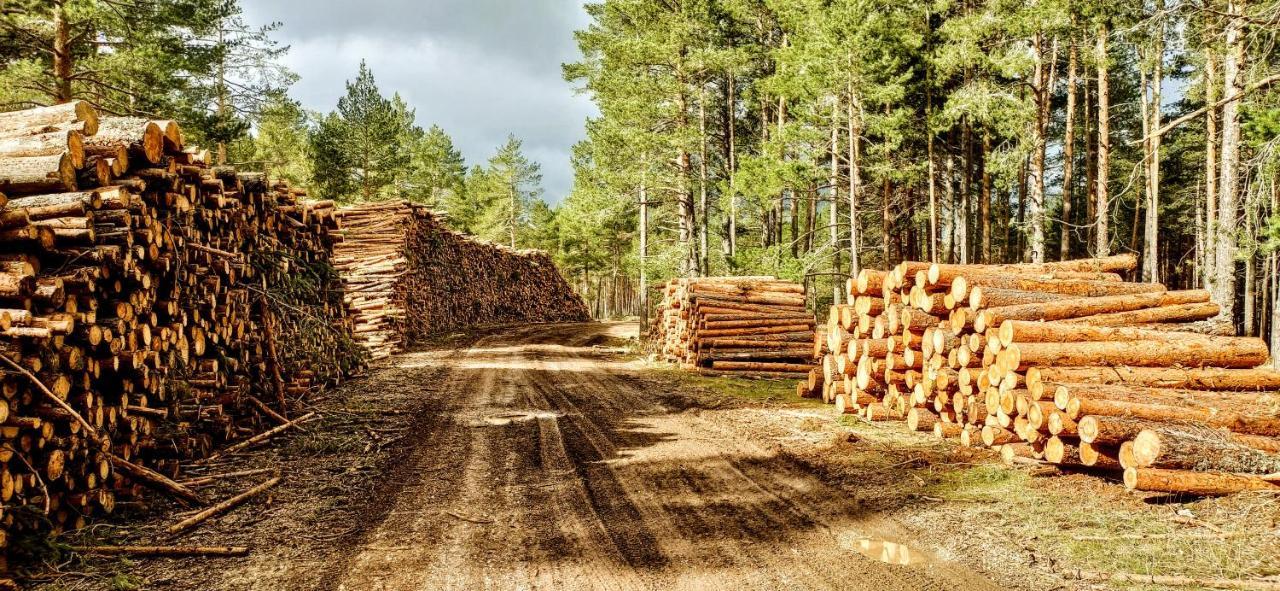 Alojamiento Rural Los Hacheros Tragacete Kültér fotó