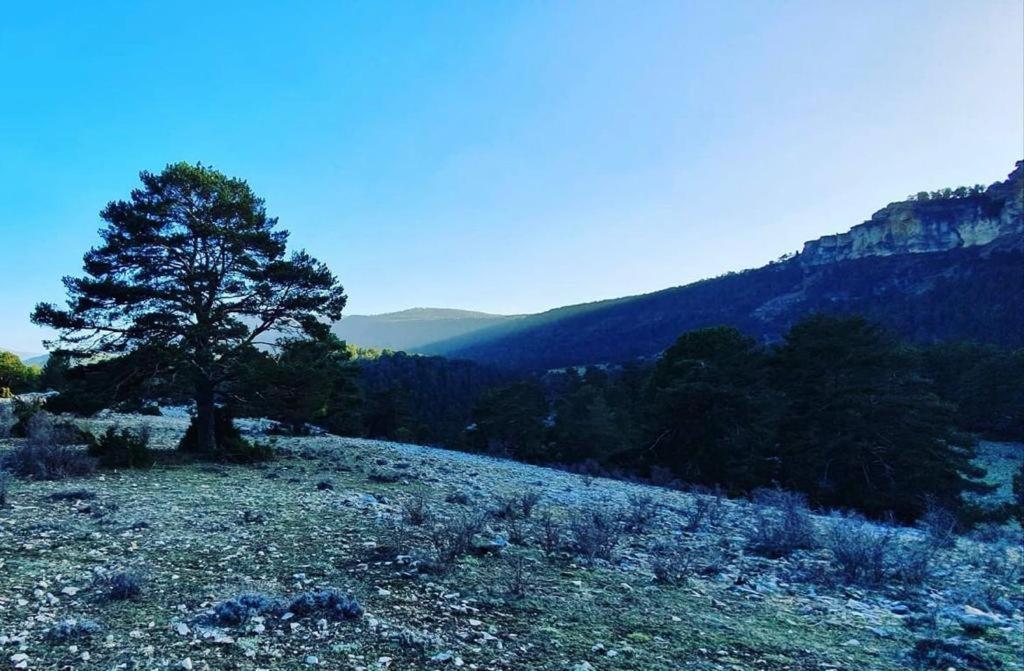 Alojamiento Rural Los Hacheros Tragacete Kültér fotó