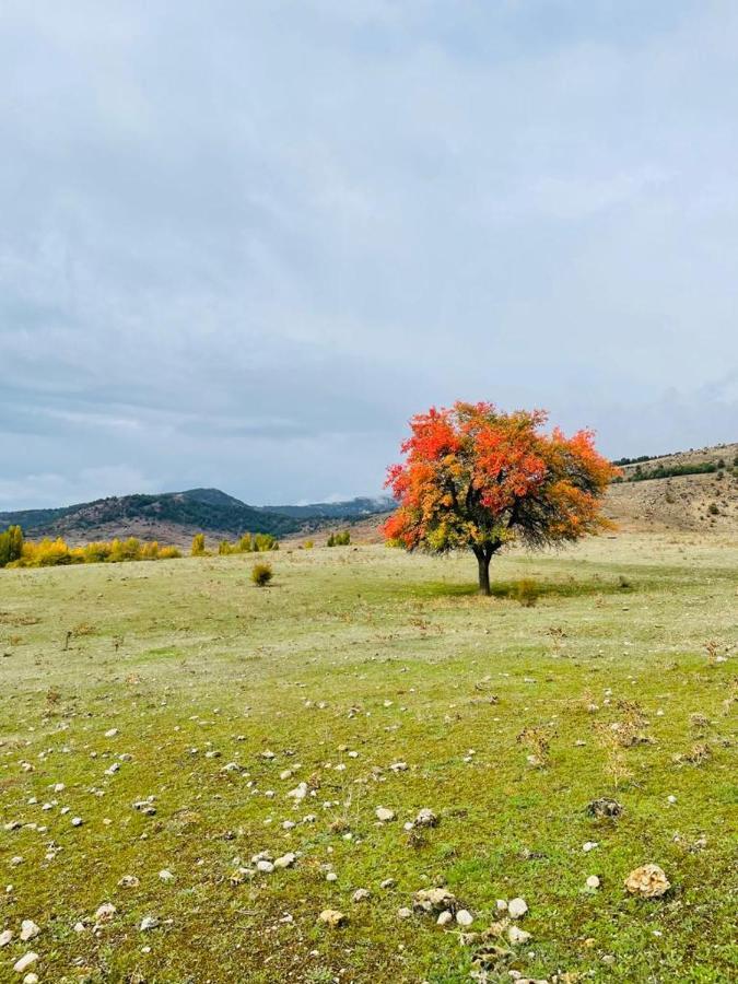 Alojamiento Rural Los Hacheros Tragacete Kültér fotó
