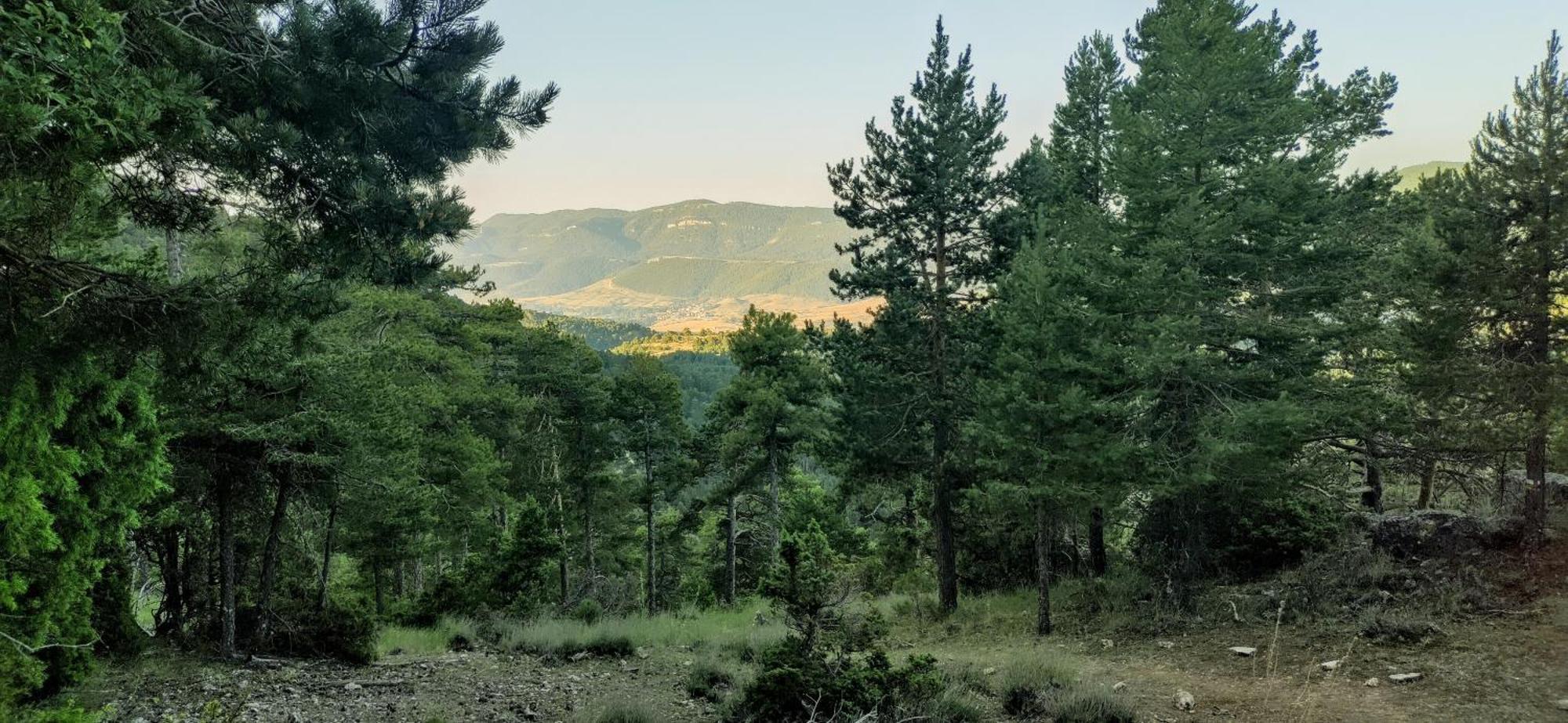 Alojamiento Rural Los Hacheros Tragacete Szoba fotó